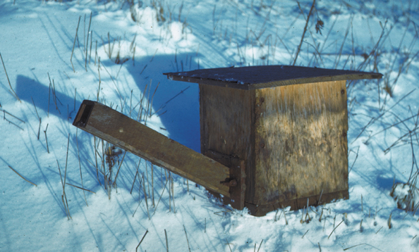 030-mouse-nestbox1