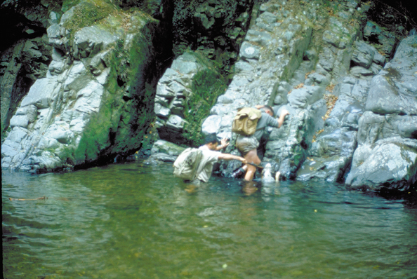 045-NZriver-wade