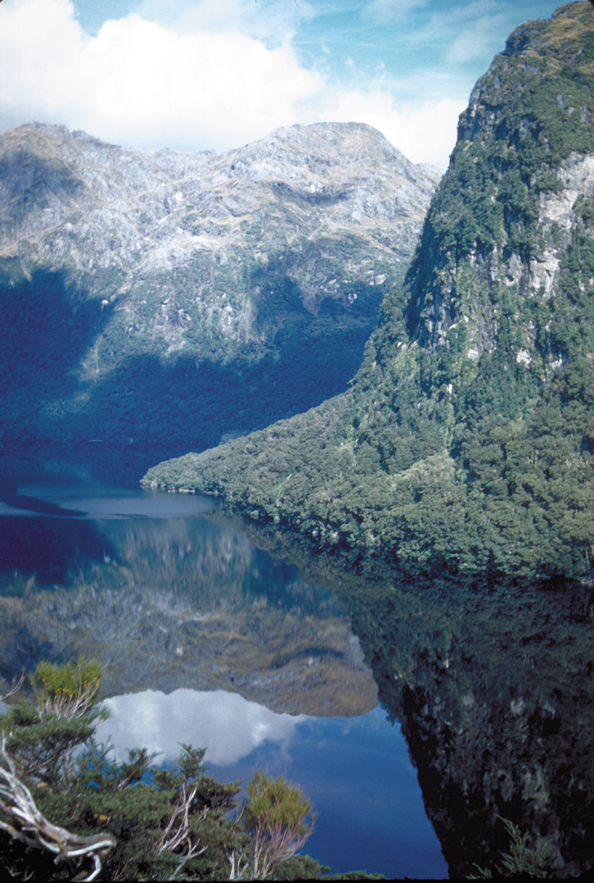 050-NZlakemonk