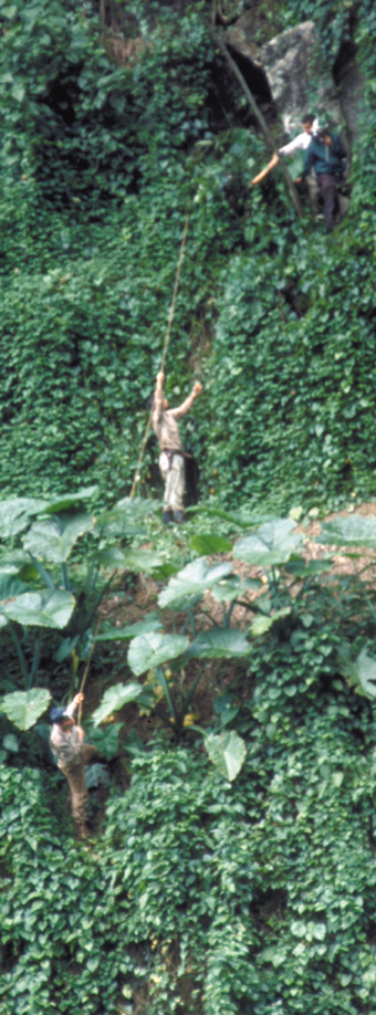 090-Mex-batcaves