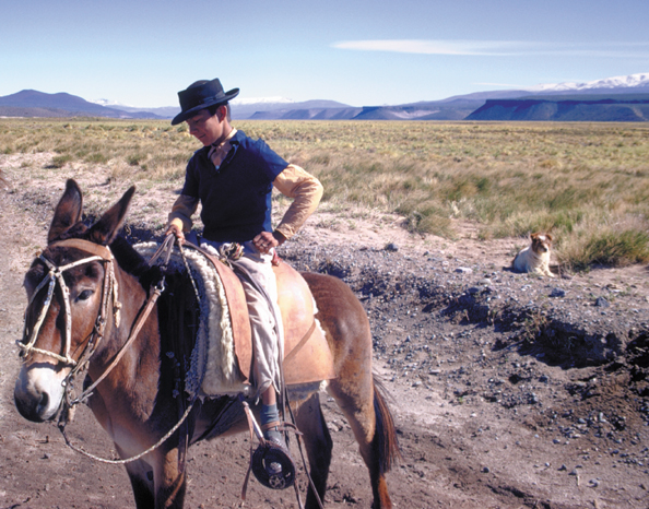 095A-Arg-gaucho-02