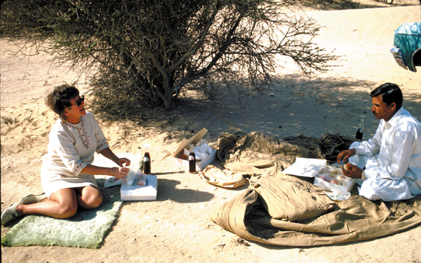 097-Q-picnic