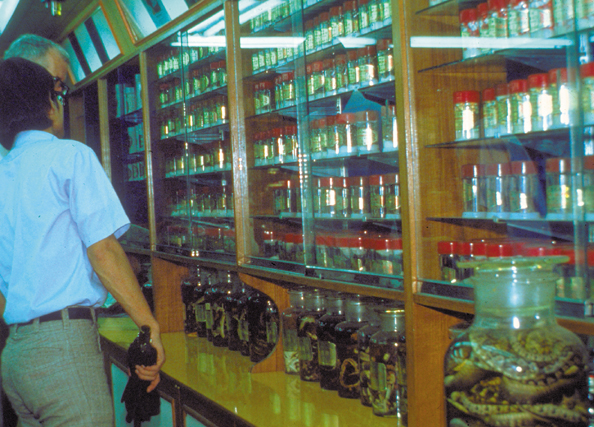 113-Taiwan-bottled-snakes