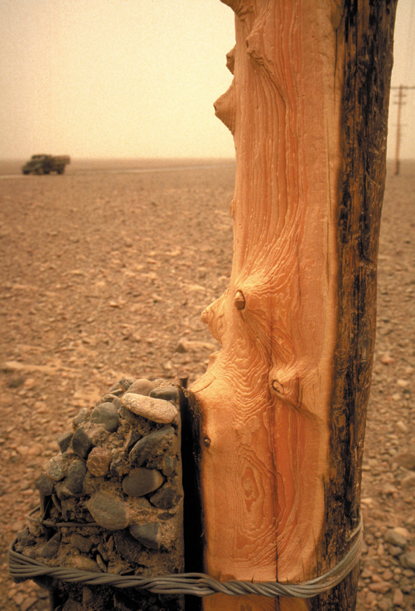 144A-Gobi-poles