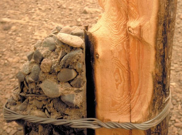 144Ax-Gobi-poles2