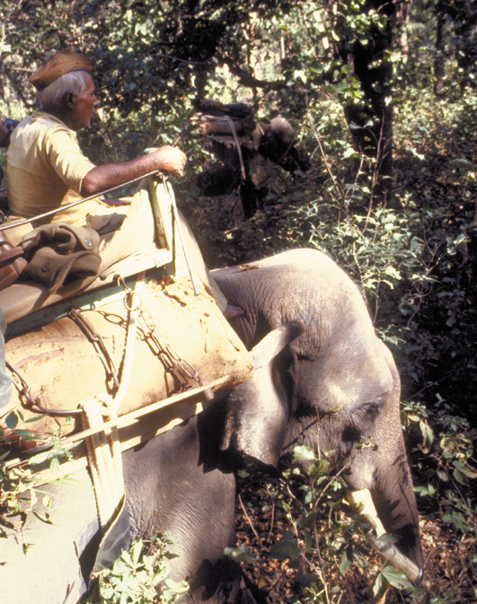 154-Ind-byElephant