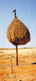 172A-SA-weaver-pole