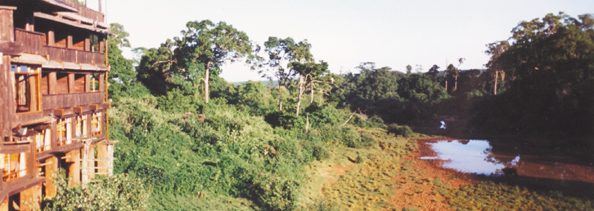 183-Kenya-waterholeLodge