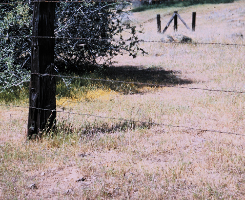 212-fence-non