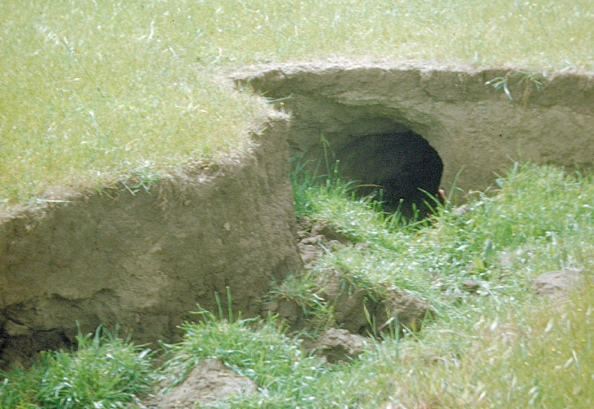 223-tunnel-erosion