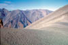 060-NZrabbithabit2.