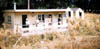 064-NZrabbithabit5.