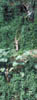 090-Mex-batcaves.