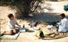 097-Q-picnic.