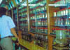 113-Taiwan-bottled-snakes.