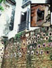122-PR-pigeonwall+.