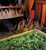 131A-silkcocoons.
