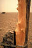144A-Gobi-poles.