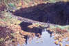 161-AK-beaver.