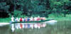 169-Braz-boat.