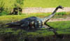 180-LochNess-monster.