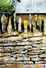 201-wall-guards.