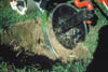 208-UCD-burrowbuild.