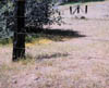 212-fence-non.