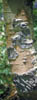 218-aspenbark.