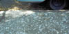 219-poopy-pavement.