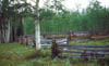 226-aspen-trial.