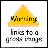 033b-snake-eats-rabbit.