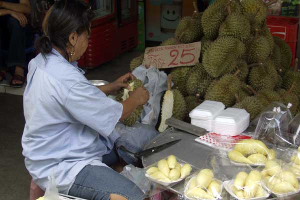 Click here to return to the durian page.