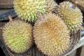 Durian fruit photo.