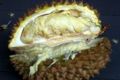 Durian fruit photo.