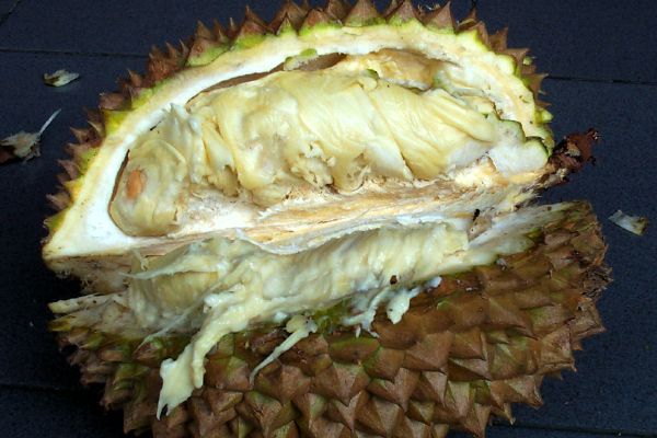 Click here to return to the durian page.