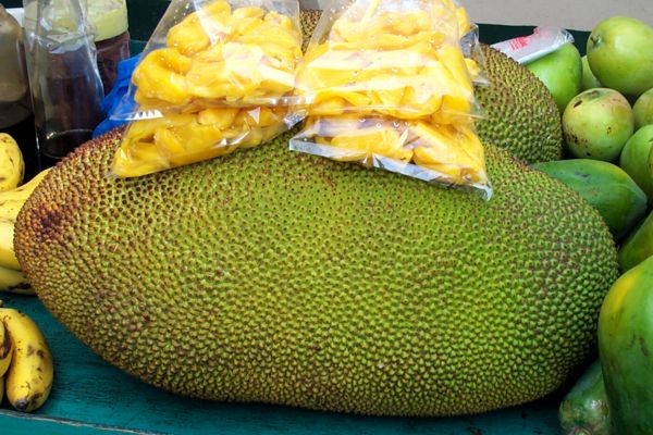 Click here to return to the jack fruit page.