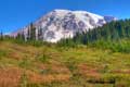 Mount Rainier Photo.